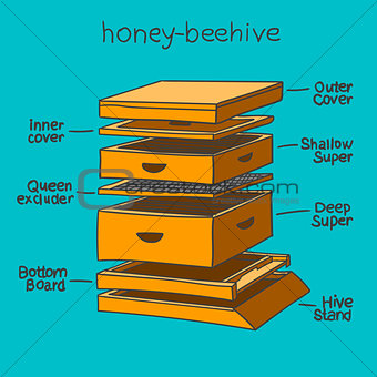 honey-beehive color