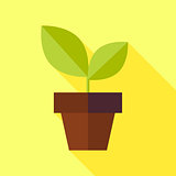 Flat Biology Nature Pot with Plant Illustration with long Shadow