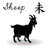 Chinese Zodiac Sign Sheep