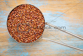 scoop of red quinoa grain