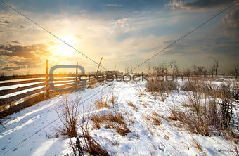 Fence in winter field