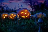 Halloween pumpkins lie on a pumpkin field at night.