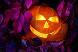Halloween pumpkin among leaves of wild grapes at night