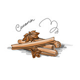Cinnamon, sketch for your design