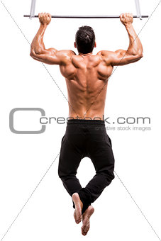 Muscle doing elevations
