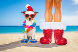 dog and owner as santa claus on christmas at the beach