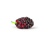 black mulberry isolated on white background