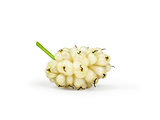 one berry white mulberry isolated on white background