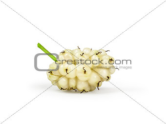 one berry white mulberry isolated on white background
