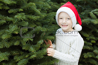 kid choosing christmas tree