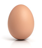 Brown chicken egg on white
