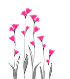 Vector illustration flowers