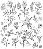 hand drawn flowers on white background