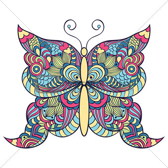 colorful butterfly on white background