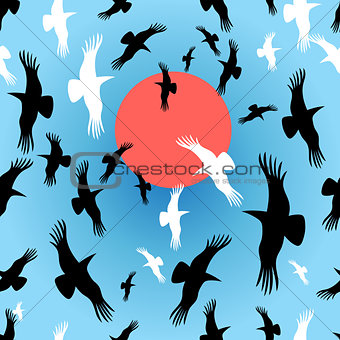 Flocks of crows circling  