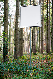 empty white sign in forest