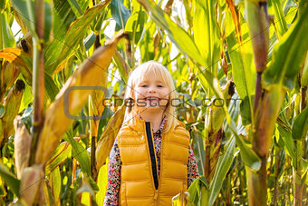Little smiling blond kid staying in a corn field on farm