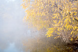 fog over lake on November morning