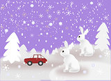 Car and Rabbits in Snowy Weather
