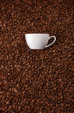 White mug at coffee beans