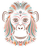 monkey on white background