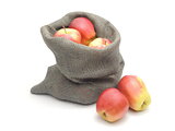 A bag of home-grown ripe apples