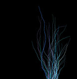 tree branches silhouette in multiple blue purple over black