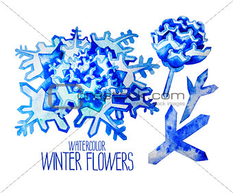 Watercolor  fntasy winter flowers