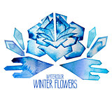 Watercolor  fntasy winter flowers