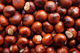 Fall conkers background