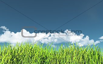 3D grassy landscape