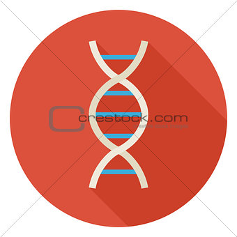 Flat Science and Medicine DNA Circle Icon with Long Shadow