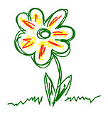 Vector hand drawn flower