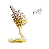 Honey, sketch for your design