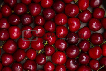 Red cherry texture 
