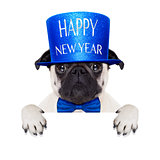happy new year dog