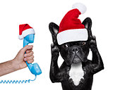 santa claus dog listening  to the phone