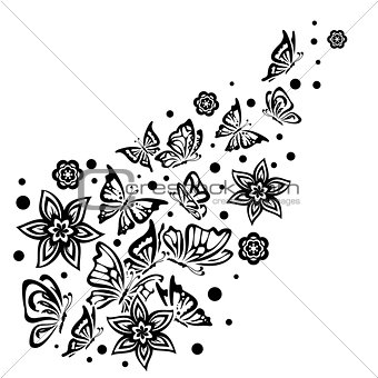 Various Butterflies on White Background