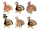 Thanksgiving Turkey Set