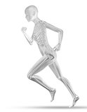 3D female medical figure with skeleton jogging