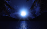 3D lake with palm trees at moonlight
