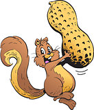 Happy Squirrel With Peanut