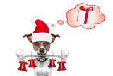 dog with a white bone  for christmas santa claus