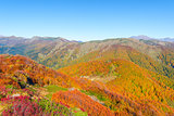 Autumn mountain landscape.