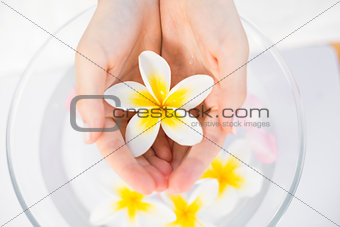 Petals of flower in wooden bowl