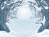 Winter Forest 