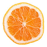 Slice of Rangpur (lemandarin) - citrus fruit, hybrid mandarin orange and lemon