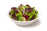Mixed vegetables salad