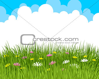 Clouds and meadow