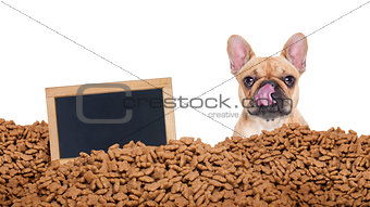 hungry dog  in  a food rain 